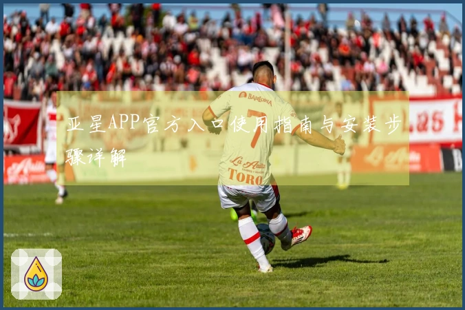 亚星APP官方入口使用指南与安装步骤详解