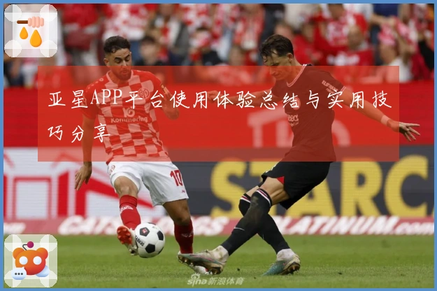 亚星APP平台使用体验总结与实用技巧分享